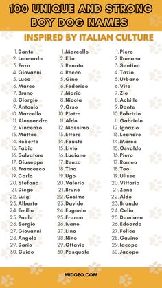 the top ten unique and strong boy dog names in italian, with their meaningss