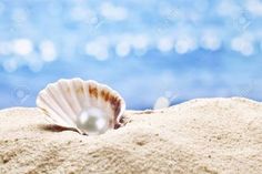 a seashell with a pearl in the sand