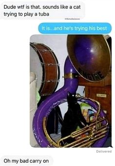 a cat sitting on top of a purple trumpet