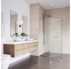 a bathroom with two sinks, a toilet and a stand up shower stall in it