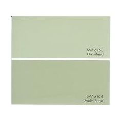 two shades of light green paint with white trim and the same color as each other