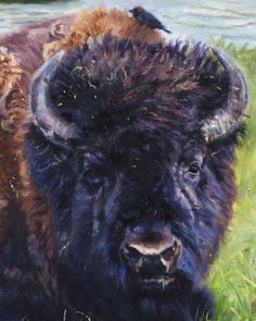 a painting of two bison standing next to each other in the grass near a body of water