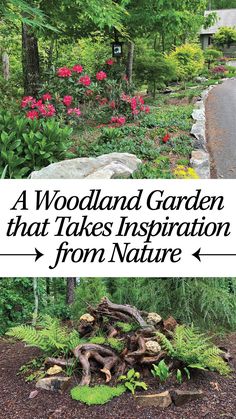 the words woodland garden that takes inspiration from nature