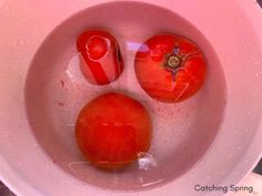 two tomatoes in a white bowl with water