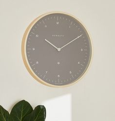 there is a clock on the wall next to a plant