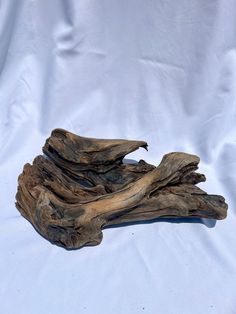 a piece of driftwood on a white background