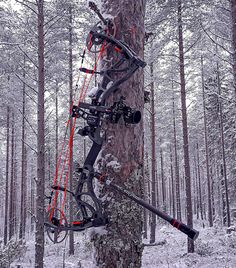 a bow rack attached to a tree in the woods with snow on the ground behind it