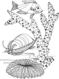 an image of seaweed and fish in black and white ink drawing by artist person