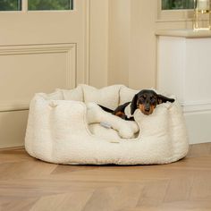 a black and brown dog laying on top of a bed in the middle of a room