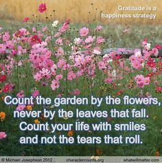 a field with pink flowers and a quote on it that says, count the garden by the flowers never by the leaves that fall count your life with smiles and not the tears that roll