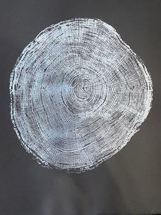 a person holding up a piece of wood that has been cut in half with the tree rings on it