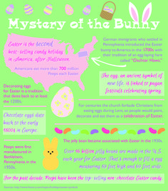 an easter egg hunt info sheet with the words, mystery of the bunny and eggs