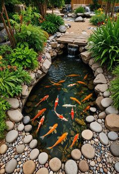 there are many fish swimming in the pond