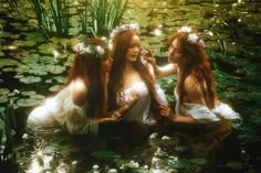 three beautiful women sitting in the water surrounded by lily pads and greenery, all looking at each other