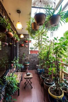 an outdoor patio with lots of potted plants on the wall and wooden flooring