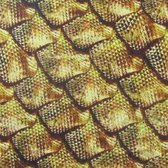 a close up view of the texture of a snake skin pattern in yellow and brown