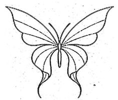 a drawing of a butterfly with long wings