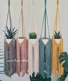 four macrame planters with plants in them and one hanging from the ceiling