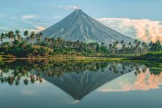 a large mountain towering over a lake surrounded by palm trees and other greenery in the foreground