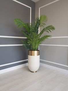 a potted plant sitting on top of a wooden floor next to a gray wall