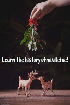 two small deer figurines on a table with the words learn the history of mistletoe