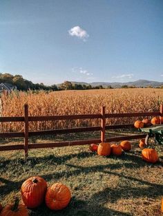 pumpkins are sitting on the ground in front of a wooden fence and farm field