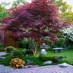 a garden with stones and trees in the background