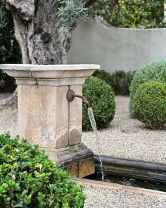 a water fountain in the middle of a garden