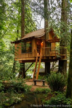 a tree house in the woods with stairs leading up to it