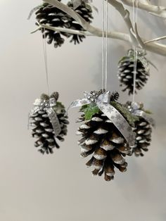 three pine cones hanging from a tree branch with silver ribbons and bows attached to them