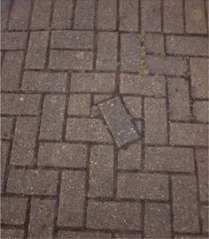 the sidewalk is made of bricks and has a small patch of cement on it's side