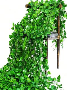 a ladder covered in green leaves and plants next to a pole with a plant growing on it