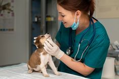 a woman in scrubs is petting a small dog on the table with her mouth open