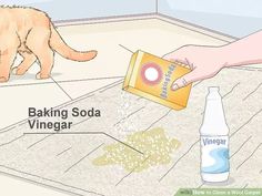 a person pouring baking soda into a can with a cat on the floor next to it