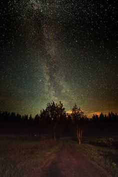 the night sky is filled with stars above trees and dirt road leading to grassy field