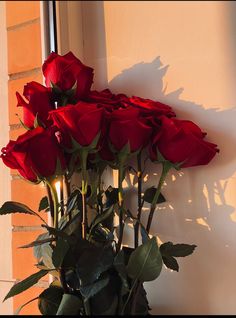 several red roses in a vase on a window sill with the sun shining through