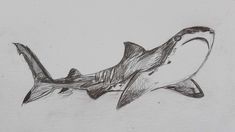 a drawing of a shark with its mouth open