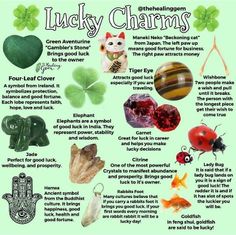 House Blessings, Crystal Healing Chart, Witch Tools, Green Witchcraft, Eclectic Witch, Witch Spell Book, Herbal Magic, Crystal Healing Stones