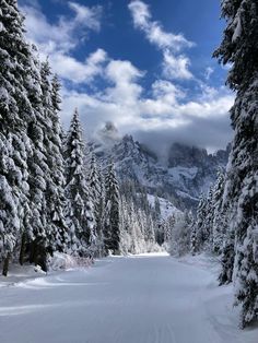 snow covered trees line the side of a snowy mountain slope with mountains in the distance