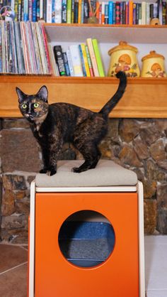 a black cat standing on top of an orange and white box in front of a book shelf