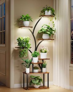 Plant stand decorations