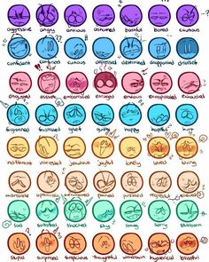 an image of the different types of eyes and their functions in each eyelide