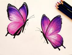 two purple butterflies on a white sheet with colored pencils next to it and one is drawn