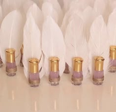 white feathers with gold rims are lined up