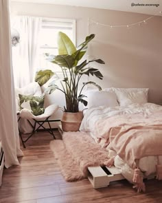 an instagram photo of a bedroom with plants on the bed and other things in the room