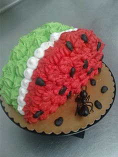 there is a cake that looks like a watermelon with chocolate chips on it