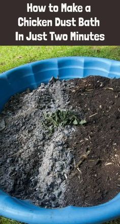 a blue plastic tub filled with dirt on top of grass and text overlay reads how to make a chicken dust bath in just two minutes