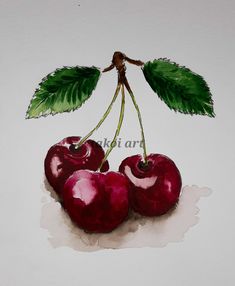 three cherries with green leaves on top of white paper and watercolor pencils