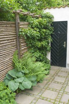 an outdoor garden area with plants, rocks and stone pavers walkway leading up to the front door