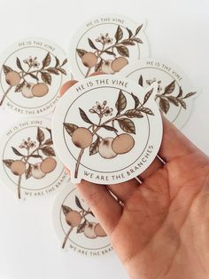 four stickers with the words, he is the vine we are the branches on them